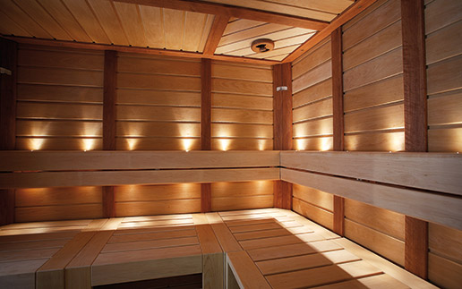 Светильники — Светильники для саун и влажных помещений — фото